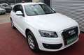 Audi Q5 2.0 TDI QUATTRO AUTOMATIK KLIMA NAVI AHK XENO Weiß - thumbnail 17