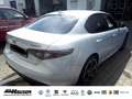 Alfa Romeo Giulia Competizione 2.0 Turbo Q4 HARMAN-KARDON EL. SITZE Blanco - thumbnail 5