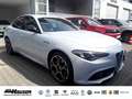 Alfa Romeo Giulia Competizione 2.0 Turbo Q4 HARMAN-KARDON EL. SITZE Blanco - thumbnail 4
