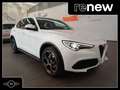 Alfa Romeo Stelvio Stelvio Super 2.2 Turbo 210cv Q4 my19 Weiß - thumbnail 1