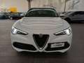 Alfa Romeo Stelvio Stelvio Super 2.2 Turbo 210cv Q4 my19 Weiß - thumbnail 2