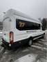 Ford Sonstige - thumbnail 3