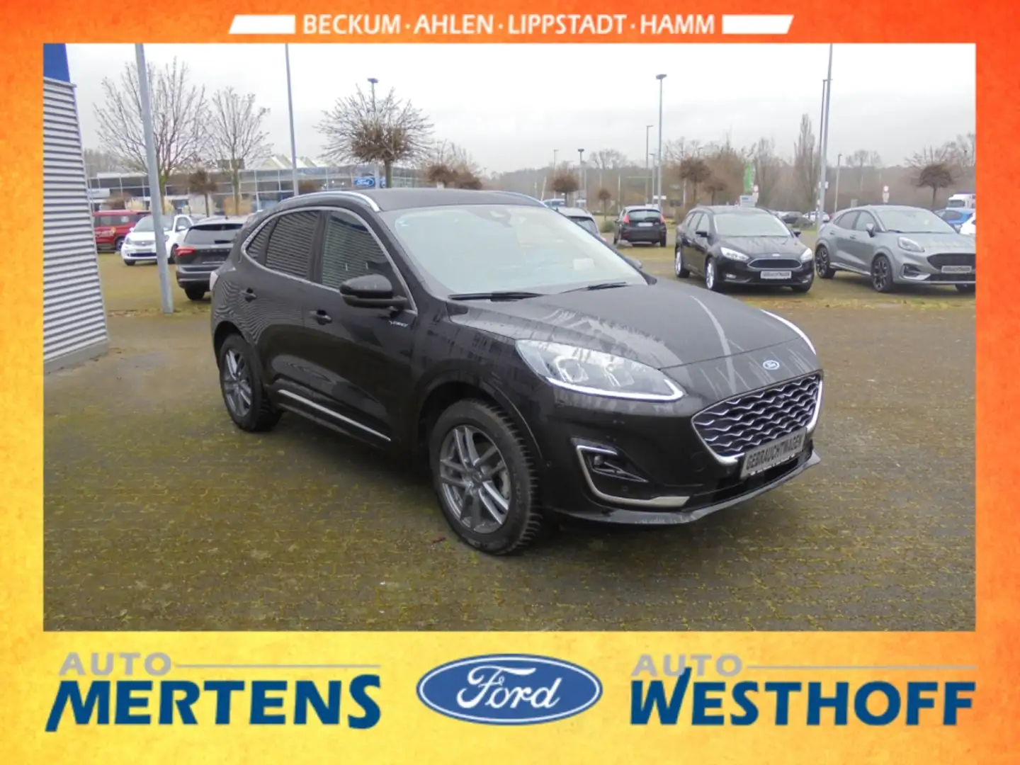 Ford Kuga Vignale 2.5 PHEV AHK Kamera TWA Navi ACC Negro - 2
