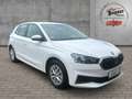 Skoda Fabia 1.0 TSI Ambition LED SHZ Kamera Smartlink Wit - thumbnail 2