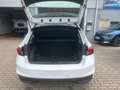 Skoda Fabia 1.0 TSI Ambition LED SHZ Kamera Smartlink Wit - thumbnail 11