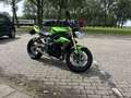 Triumph Street Triple 675 - thumbnail 4