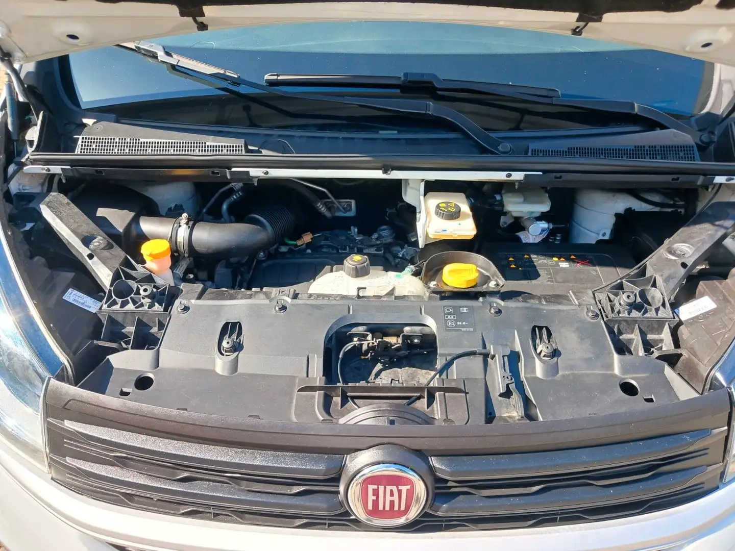 Fiat Talento Kasten L1H1 1,2t SX KLIMAAUT AHK SERV NE Weiß - 2