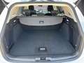 Ford Focus Turnier 1.0 EcoBoost Start-Stopp-System COOL&CONNE Weiß - thumbnail 13