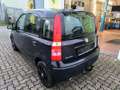 Fiat Panda 1.2 8V MyLive Tüv 09/26 AHK Azul - thumbnail 3