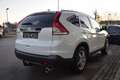 Honda CR-V 2,2i-DTEC Lifestyle DPF*AHK* Weiß - thumbnail 3