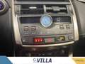 Lexus NX 300h 300h 2.5 4wd cvt Luxury Gris - thumbnail 17