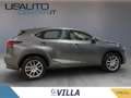 Lexus NX 300h 300h 2.5 4wd cvt Luxury Gris - thumbnail 3