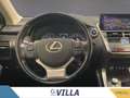 Lexus NX 300h 300h 2.5 4wd cvt Luxury Gris - thumbnail 9