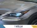 Lexus NX 300h 300h 2.5 4wd cvt Luxury Gris - thumbnail 6