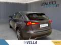 Lexus NX 300h 300h 2.5 4wd cvt Luxury Gris - thumbnail 5