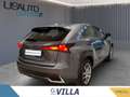 Lexus NX 300h 300h 2.5 4wd cvt Luxury Gris - thumbnail 4