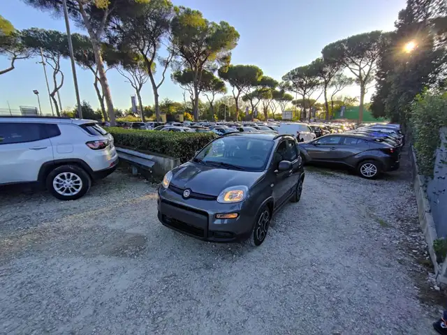 2022 Fiat Panda in Grey for sale