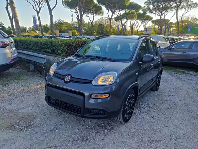 Fiat Panda view 2