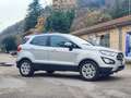 Ford EcoSport 1.5 ecoblue Business S&S Argento - thumbnail 3