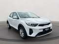 Kia Stonic Edition 7 Apple CarPlay Android Auto Klimaautom DA bijela - thumbnail 18