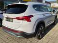 Hyundai SANTA FE 2.2 Prime Leder*Memory*Sitzkühlung Weiß - thumbnail 9