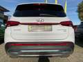 Hyundai SANTA FE 2.2 CRDi 5-Sitzer Prime ACC+LED+Navi+SD Blanc - thumbnail 8