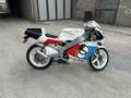 Gilera 125 Strada Gilera sp 01 totalmente rifatto anche di motore - thumbnail 6
