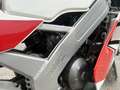 Gilera 125 Strada Gilera sp 01 totalmente rifatto anche di motore - thumbnail 8