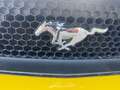Ford Mustang FASTBACK V8 5.0 421 GT Giallo - thumbnail 22