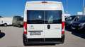 Citroen Jumper 2.2 35 L3H2 *Netto €23.325,-* Weiß - thumbnail 6