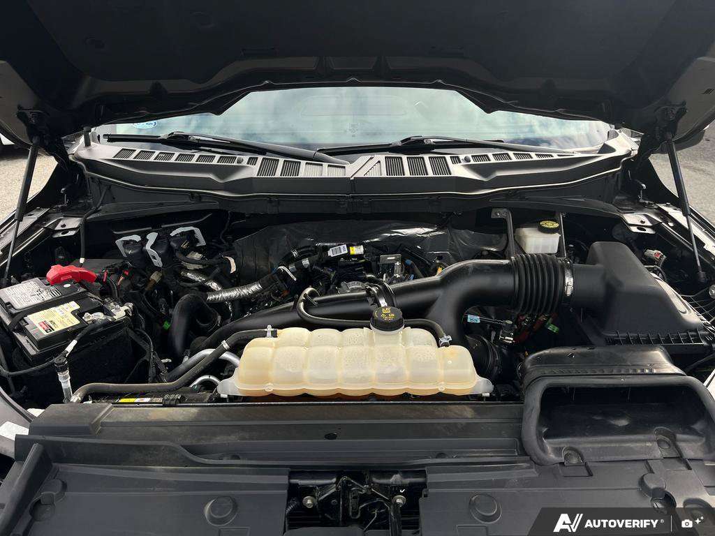 used 2022 Ford F-150 car