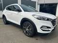 Hyundai TUCSON 1,6 Passion / WR ( leichter Hagel ) Weiß - thumbnail 5
