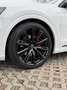 Audi Q8 50 TDI quattro Competition plus 3.0 V6-Full Blanc - thumbnail 12