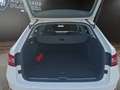 Skoda Superb C. 2.0 TDI DSG Ambition 4x4 AHK+NAVI+APP Klima Wit - thumbnail 21