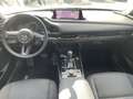 Mazda CX-30 SHZ|Klimaaut.|NAVI|Kamera|LED Blau - thumbnail 9
