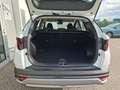 Hyundai TUCSON NX4 Edition 35 1,6 T-GDi 2WD t7be1 Weiß - thumbnail 7