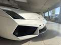 Lamborghini Gallardo E-Gear Facelift Lift-System!!! Alb - thumbnail 10