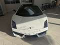 Lamborghini Gallardo E-Gear Facelift Lift-System!!! Alb - thumbnail 14