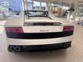 Lamborghini Gallardo E-Gear Facelift Lift-System!!! Alb - thumbnail 8