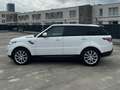 Land Rover Range Rover Sport HSE Dynamic-TOP CONDITION-ONLY FOR EXPT OUT OF EUR Biały - thumbnail 15