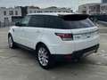 Land Rover Range Rover Sport HSE Dynamic-TOP CONDITION-ONLY FOR EXPT OUT OF EUR Biały - thumbnail 14