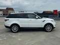 Land Rover Range Rover Sport HSE Dynamic-TOP CONDITION-ONLY FOR EXPT OUT OF EUR Beyaz - thumbnail 7