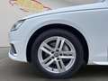 Audi A4 Avant 40 TDI advanced*360° Kamera*ACC*AHK* Weiß - thumbnail 22