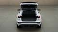 Audi Q6 quattro SLINE*KOMFORT*TECHPL Weiß - thumbnail 9