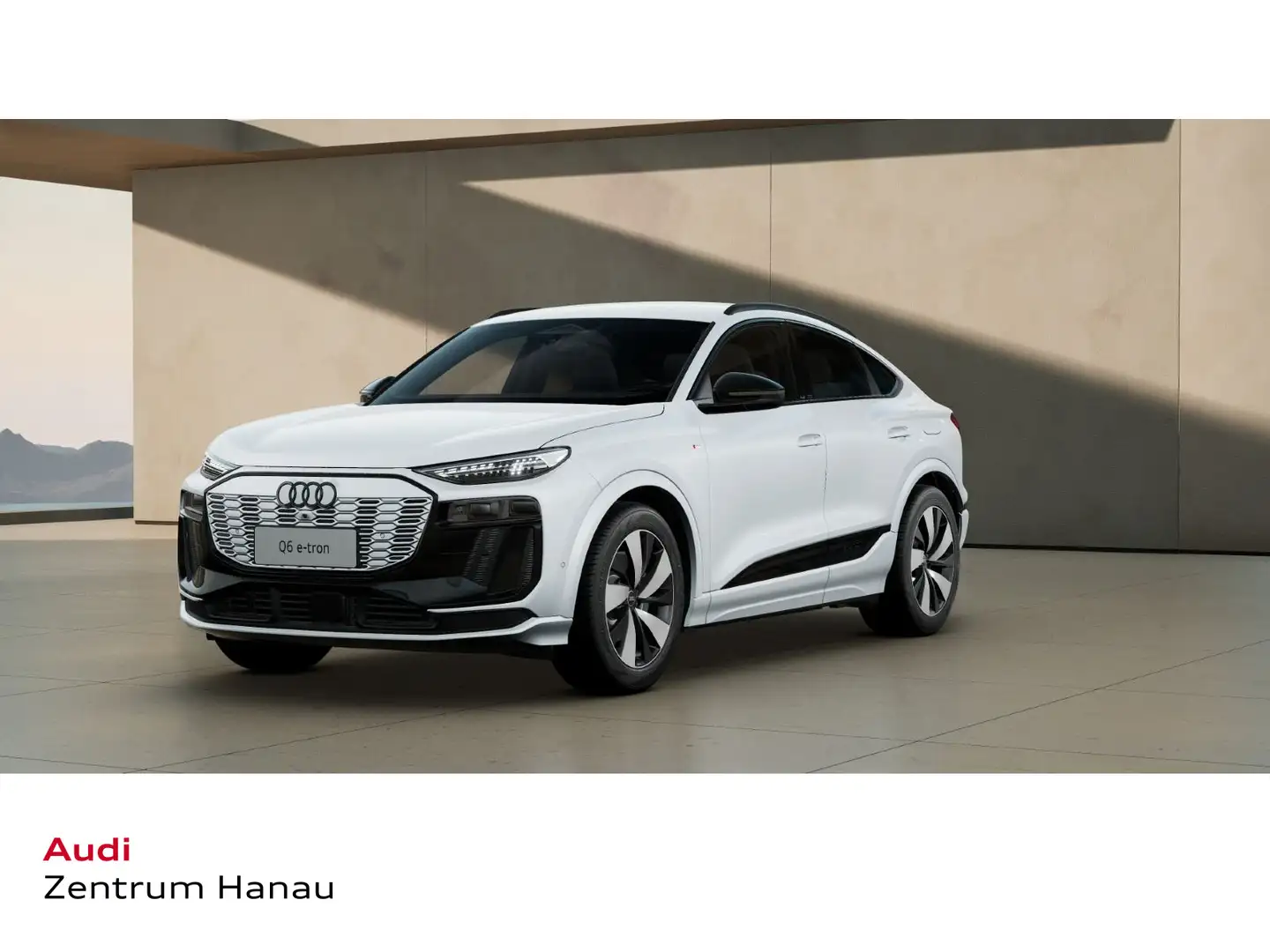 Audi Q6 quattro SLINE*KOMFORT*TECHPL Weiß - 1