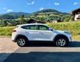 Hyundai TUCSON Trend 4WD *GARANTIE**FINANZIERUNG* Weiß - thumbnail 5