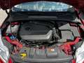 Ford Focus 1.6 Ecoboost Auto-S&S Titanium Rojo - thumbnail 13