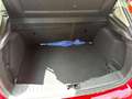 Ford Focus 1.6 Ecoboost Auto-S&S Titanium Rojo - thumbnail 12