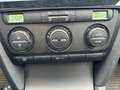 Skoda Octavia Combi 1.9 NUR GEWERBE TDI Ambiente Groen - thumbnail 15