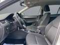 Skoda Octavia Combi Drive Silber - thumbnail 19